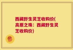 西藏野生灵芝收购价(高原之珠：西藏野生灵芝收购价)