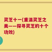 灵芝十一(重温灵芝之美——探寻灵芝的十个功效)