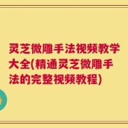 灵芝微雕手法视频教学大全(精通灵芝微雕手法的完整视频教程)