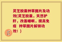 灵芝胶囊种草图片及功效(灵芝胶囊，天然护肝，改善睡眠，提高免疫  种草图片解锁功效！)