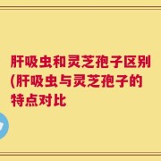 肝吸虫和灵芝孢子区别(肝吸虫与灵芝孢子的特点对比