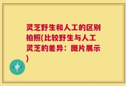 灵芝野生和人工的区别拍照(比较野生与人工灵芝的差异：图片展示)