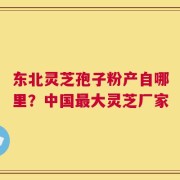 东北灵芝孢子粉产自哪里？中国最大灵芝厂家
