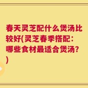 春天灵芝配什么煲汤比较好(灵芝春季搭配：哪些食材最适合煲汤？)