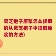 灵芝狍子原浆怎么提取的从灵芝狍子中提取原浆的方法)