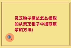 灵芝狍子原浆怎么提取的从灵芝狍子中提取原浆的方法)