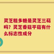 灵芝粗多糖是灵芝三萜吗？灵芝香菇平菇有什么标志性成分