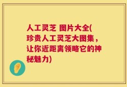 人工灵芝 图片大全(珍贵人工灵芝大图集，让你近距离领略它的神秘魅力)