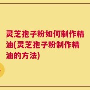 灵芝孢子粉如何制作精油(灵芝孢子粉制作精油的方法)