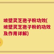 坡壁灵芝孢子粉功效(坡壁灵芝孢子粉的功效及作用详解)