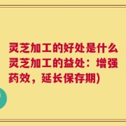 灵芝加工的好处是什么灵芝加工的益处：增强药效，延长保存期)