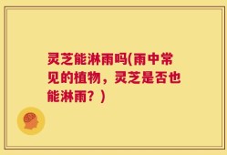 灵芝能淋雨吗(雨中常见的植物，灵芝是否也能淋雨？)