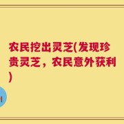 农民挖出灵芝(发现珍贵灵芝，农民意外获利)