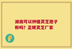 湖南可以种植灵芝孢子粉吗？正规灵芝厂家