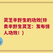灵芝半野生的功效(珍贵半野生灵芝：发布惊人功效！)