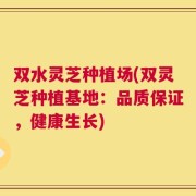 双水灵芝种植场(双灵芝种植基地：品质保证，健康生长)