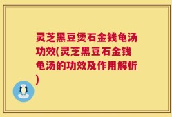 灵芝黑豆煲石金钱龟汤功效(灵芝黑豆石金钱龟汤的功效及作用解析)