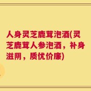 人身灵芝鹿茸泡酒(灵芝鹿茸人参泡酒，补身滋阴，质优价廉)