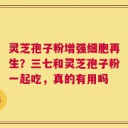 灵芝孢子粉增强细胞再生？三七和灵芝孢子粉一起吃，真的有用吗