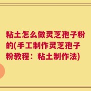 粘土怎么做灵芝孢子粉的(手工制作灵芝孢子粉教程：粘土制作法)