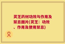 灵芝药材功效与作用及禁忌图片(灵芝：功效、作用及使用禁忌)