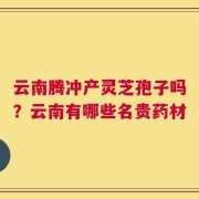云南腾冲产灵芝孢子吗？云南有哪些名贵药材