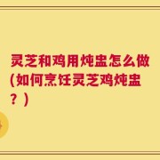 灵芝和鸡用炖盅怎么做(如何烹饪灵芝鸡炖盅？)