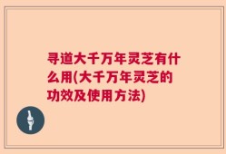 寻道大千万年灵芝有什么用(大千万年灵芝的功效及使用方法)