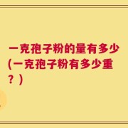 一克孢子粉的量有多少(一克孢子粉有多少重？)