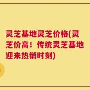 灵芝基地灵芝价格(灵芝价高！传统灵芝基地迎来热销时刻)