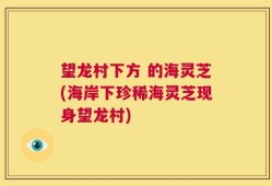 望龙村下方 的海灵芝(海岸下珍稀海灵芝现身望龙村)