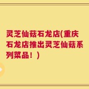灵芝仙菇石龙店(重庆石龙店推出灵芝仙菇系列菜品！)