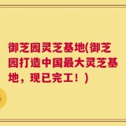 御芝园灵芝基地(御芝园打造中国最大灵芝基地，现已完工！)