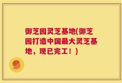御芝园灵芝基地(御芝园打造中国最大灵芝基地，现已完工！)
