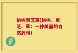 桃树灵芝草(桃树、灵芝、草：一种美丽的自然药材)