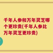 千年人参和万年灵芝哪个更珍贵(千年人参比万年灵芝更珍贵)