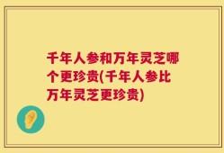 千年人参和万年灵芝哪个更珍贵(千年人参比万年灵芝更珍贵)