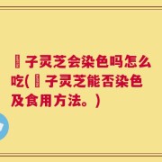垉子灵芝会染色吗怎么吃(垉子灵芝能否染色及食用方法。)
