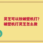 灵芝可以放破壁机打？破壁机打灵芝怎么做