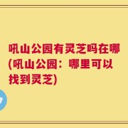吼山公园有灵芝吗在哪(吼山公园：哪里可以找到灵芝)