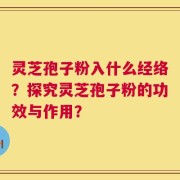 灵芝孢子粉入什么经络？探究灵芝孢子粉的功效与作用？