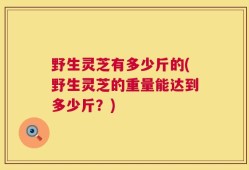 野生灵芝有多少斤的(野生灵芝的重量能达到多少斤？)