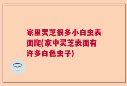 家里灵芝很多小白虫表面爬(家中灵芝表面有许多白色虫子)