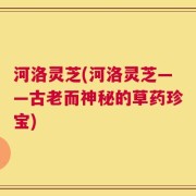 河洛灵芝(河洛灵芝——古老而神秘的草药珍宝)