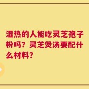 湿热的人能吃灵芝孢子粉吗？灵芝煲汤要配什么材料？