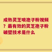 成熟灵芝喷孢子粉视频？最有效的灵芝孢子粉破壁技术是什么