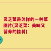 灵芝菜是怎样的一种菜图片(灵芝菜：美味又营养的佳肴)