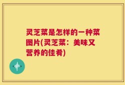 灵芝菜是怎样的一种菜图片(灵芝菜：美味又营养的佳肴)