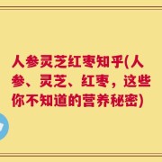 人参灵芝红枣知乎(人参、灵芝、红枣，这些你不知道的营养秘密)