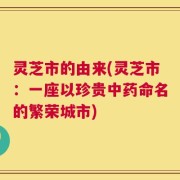 灵芝市的由来(灵芝市：一座以珍贵中药命名的繁荣城市)